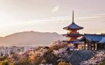 CUNG ĐƯỜNG VÀNG NHẬT BẢN: TOKYO – NÚI PHÚ SĨ – NAGOYA – KYOTO - OSAKA